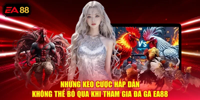 Những kèo cược hấp dẫn không thể bỏ qua khi tham gia Đá gà EA88